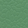 BG BG-01