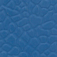 BG BG-01